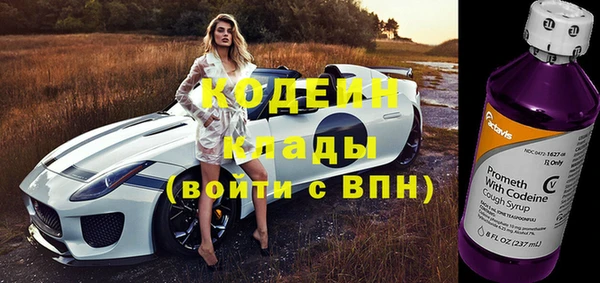 дживик Мегион