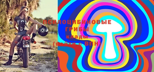 PSILOCYBIN Магас
