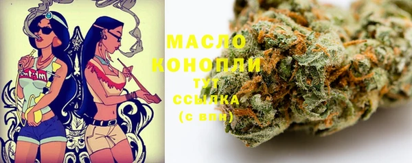 дживик Мегион