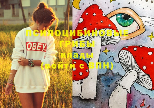 PSILOCYBIN Магас