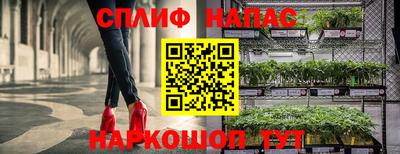 трава Аргун