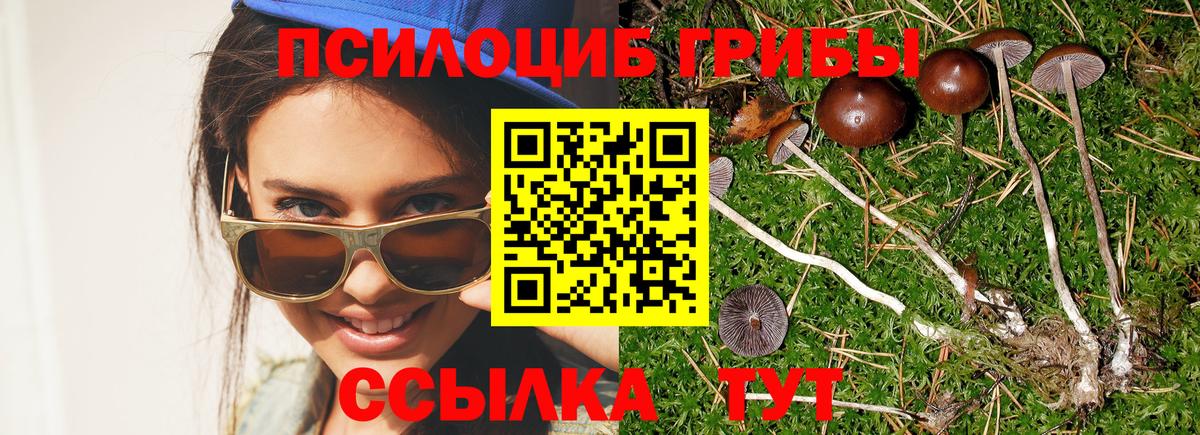 Галлюциногенные грибы MAGIC MUSHROOMS  Балаково  Галлюциногенные грибы MAGIC MUSHROOMS 