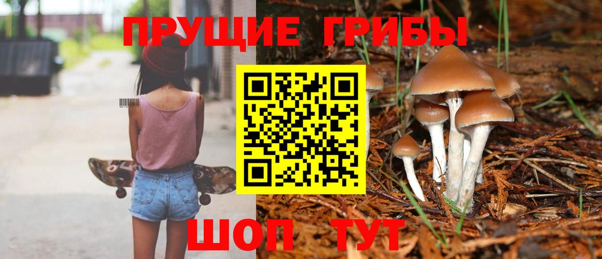Псилоцибиновые грибы мухоморы Балаково